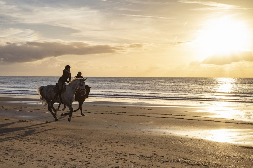 Activiteiten Vlieland: Paardrijden op Vlieland