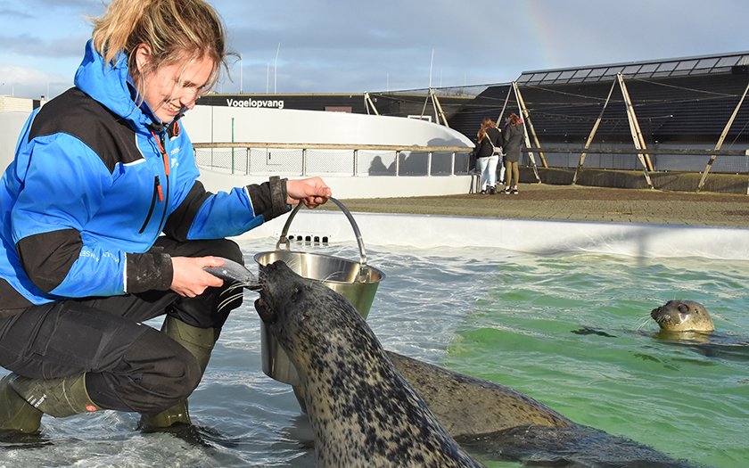 Activiteiten Waddeneilanden: Ecomare Texel Zeehondenopvang