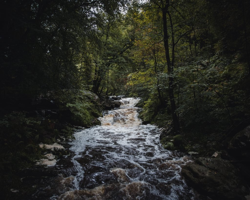 Ardennen Natuur